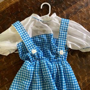 Dorothy from Wizard of Oz costume